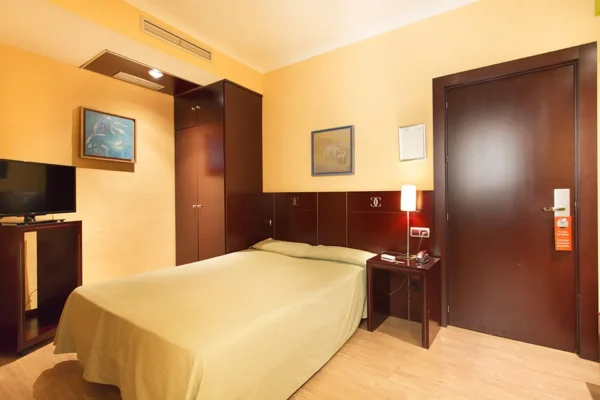 Hotel_carlos_v_Individual